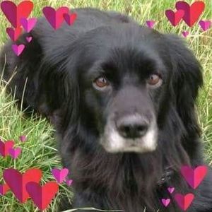 Meet your Posher, Sherry